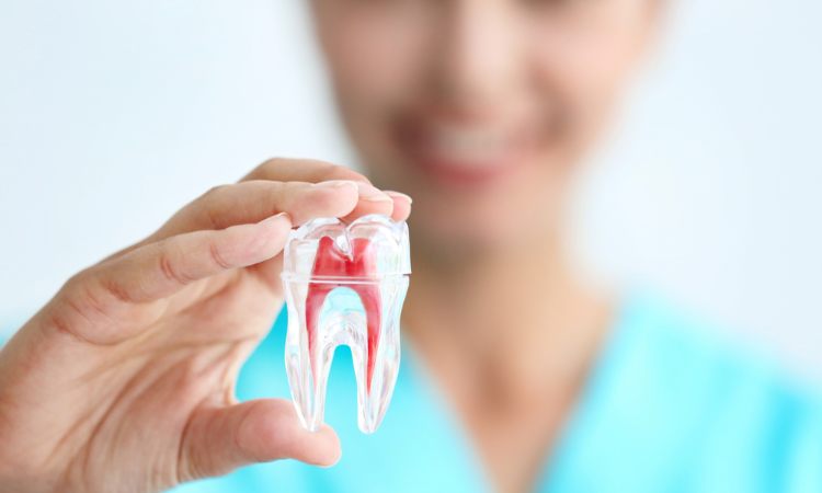 Estomatólogo: qué hace y en qué se diferencia del odontólogo