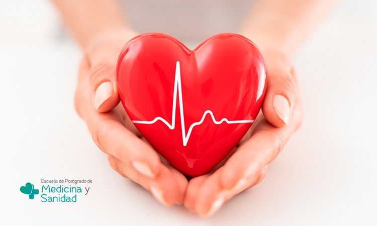 Conoce qué es el riesgo cardiovascular y los principales factores que incrementan la posibilidad de sufrir enfermedades cardíacas